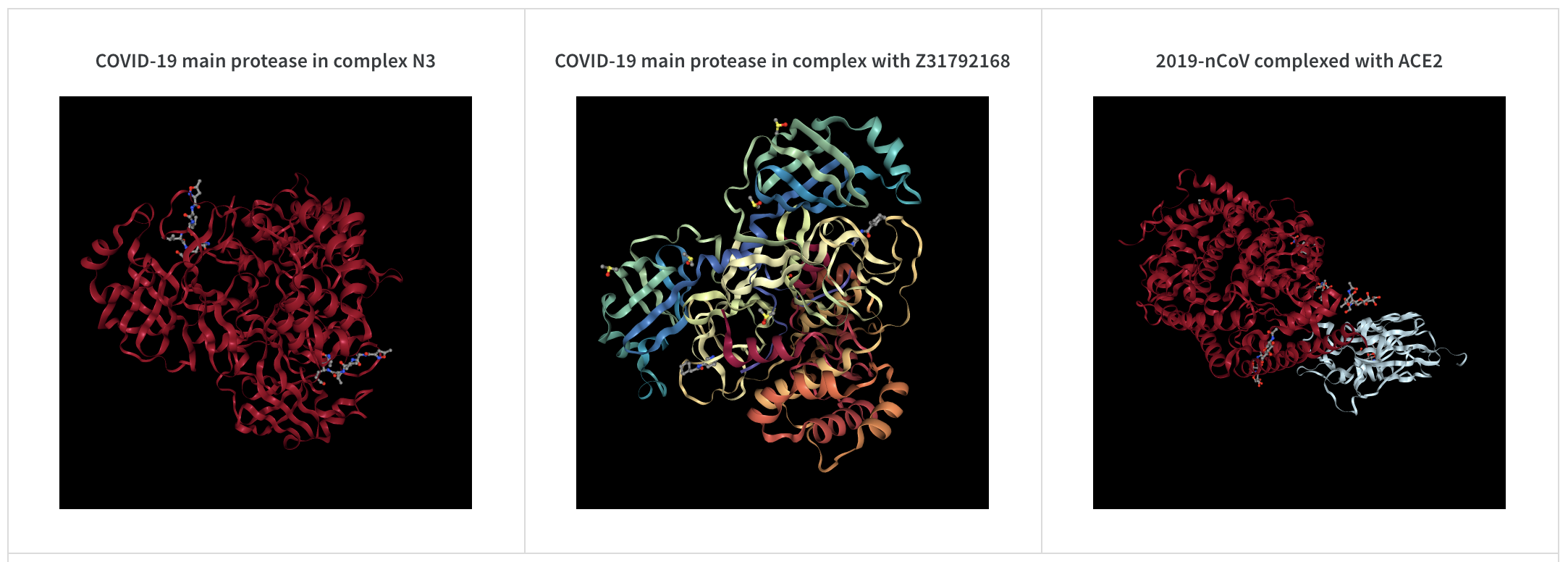 分子の2Dビュー